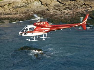 Helicopter Tour San Diego, Best Of Flight - 30 Minutes — photo 1