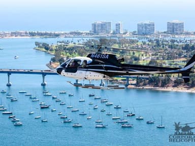 San Diego Romance in the Air Helicopter Tour — photo 1
