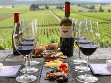 San Francisco Biplane Flight - Napa Sonoma Wine Tour — photo 4