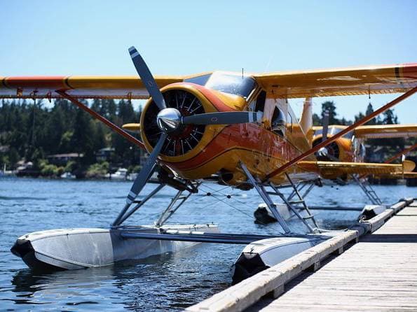 San Juan Island Tour with Seaplane Flight from Seattle