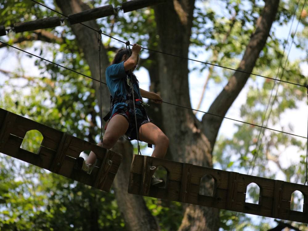 Sandy Spring Aerial Forest