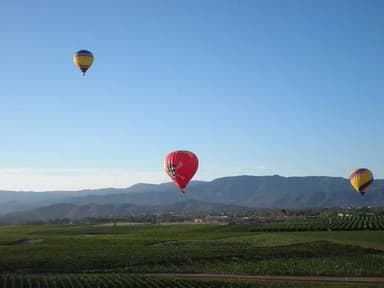 Semi-Private Basket Flight Price — photo 3