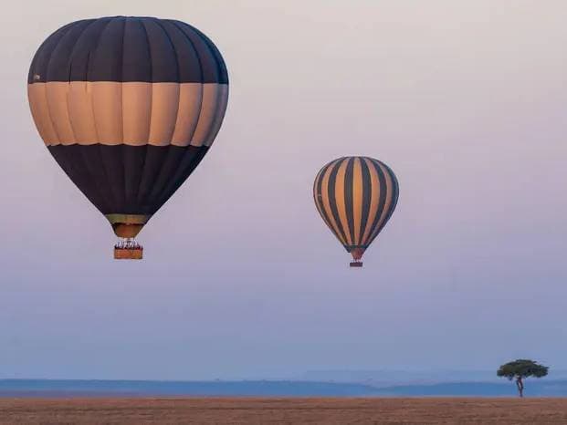 Signature Champagne Hot Air Balloon Flight