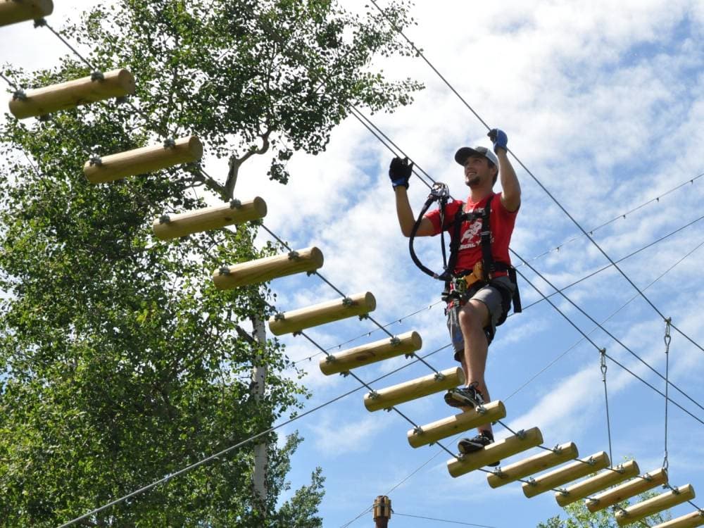 Silver Bay Climb & Zip Adventure