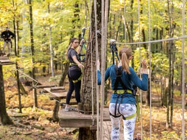 Skytop Treetop Adventure Course — photo 2