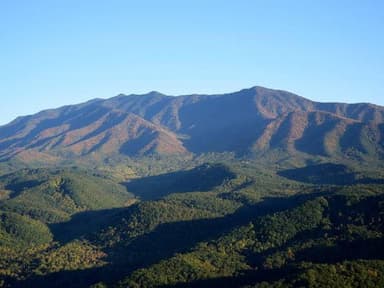 Smoky Mountains: Wears Valley Scenic Helicopter Tour — photo 3