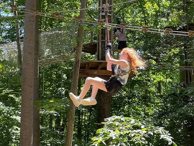 Springfield Treetop Journey