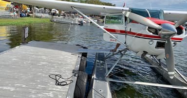 St. Johns River and Springs Seaplane Flight — photo 2