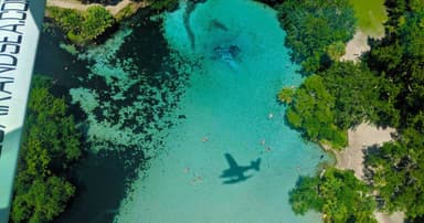 St. Johns River and Springs Seaplane Flight — photo 1