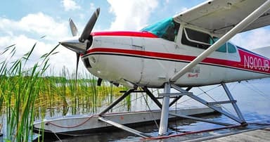 St. Johns River and Springs Seaplane Flight — photo 4