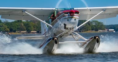 St. Johns River and Springs Seaplane Flight — photo 3