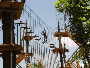 Sugar Land Treetop Adventure — photo 1