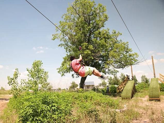 Sugar Land Treetop Journey