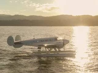 Sunset Flight
