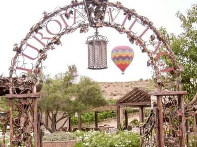 Temecula Wine Country Balloon Flight — photo 1