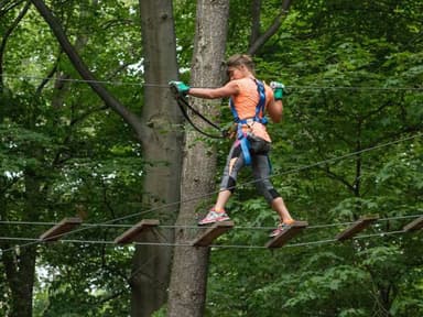 The Frankenmuth Aerial Park — photo 1