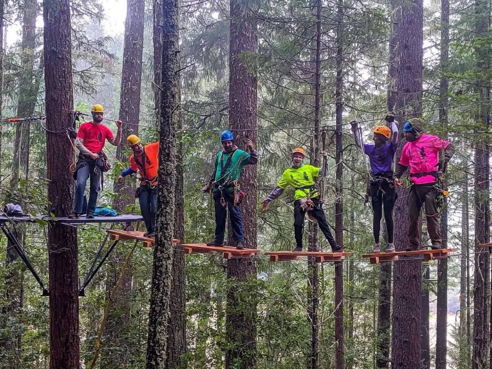 Tree House Ziplines The Big Zip Adventure