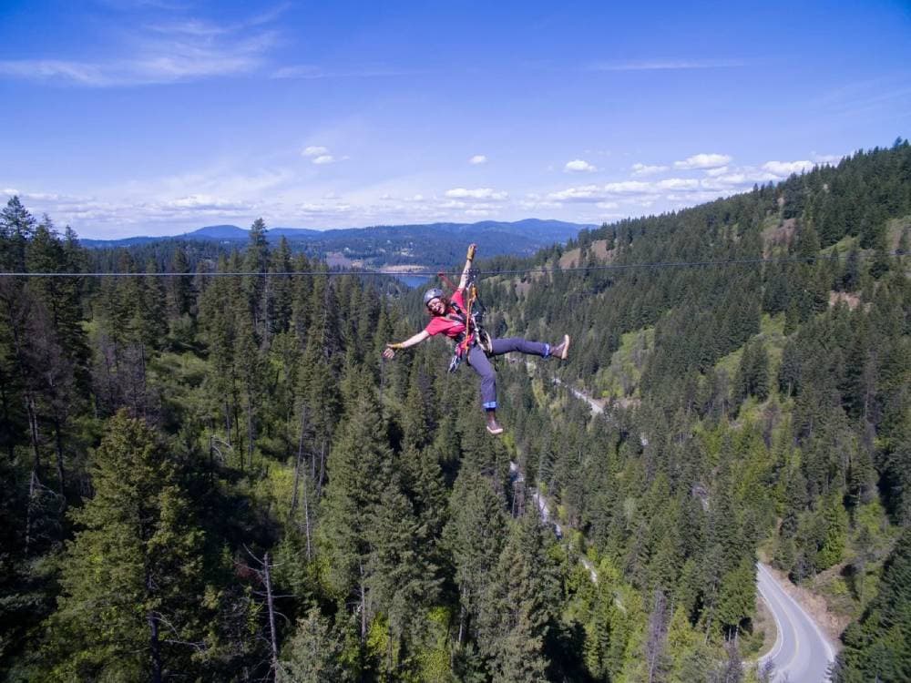 Treehouse Lunch & Full Zipline Tour