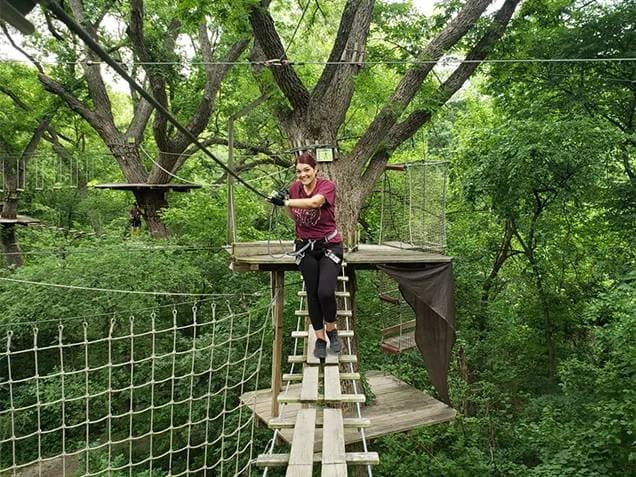 Treetop Adventure