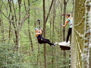 Treetop adventure — photo 1
