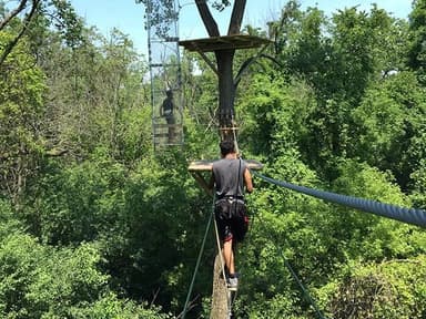 Treetop Adventure — photo 1