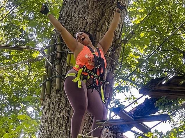 Treetop Discovery