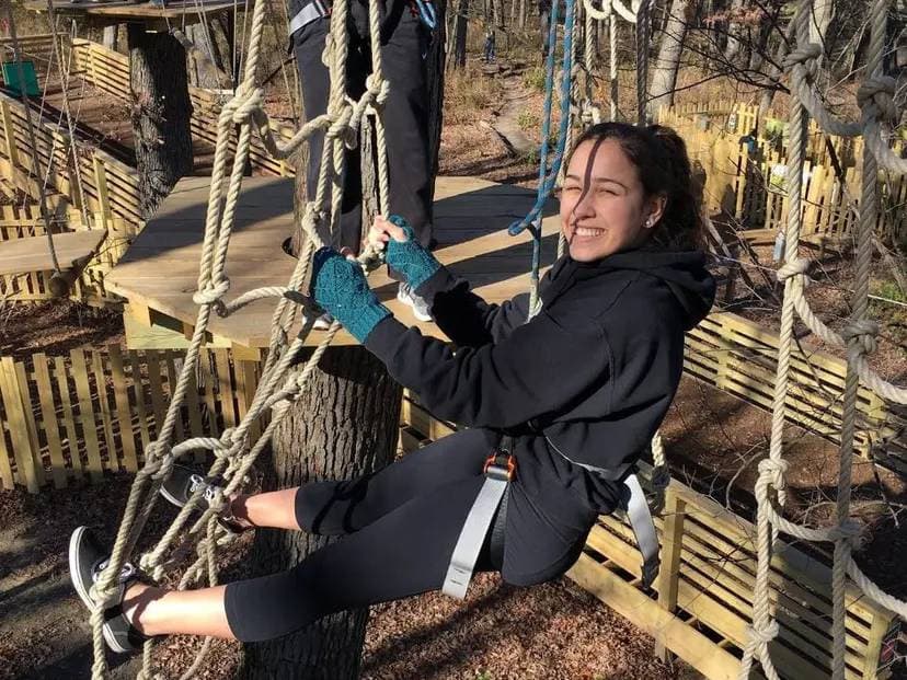 Treetop Discovery