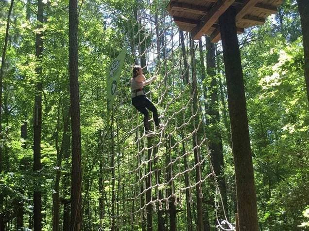 Treetop journey