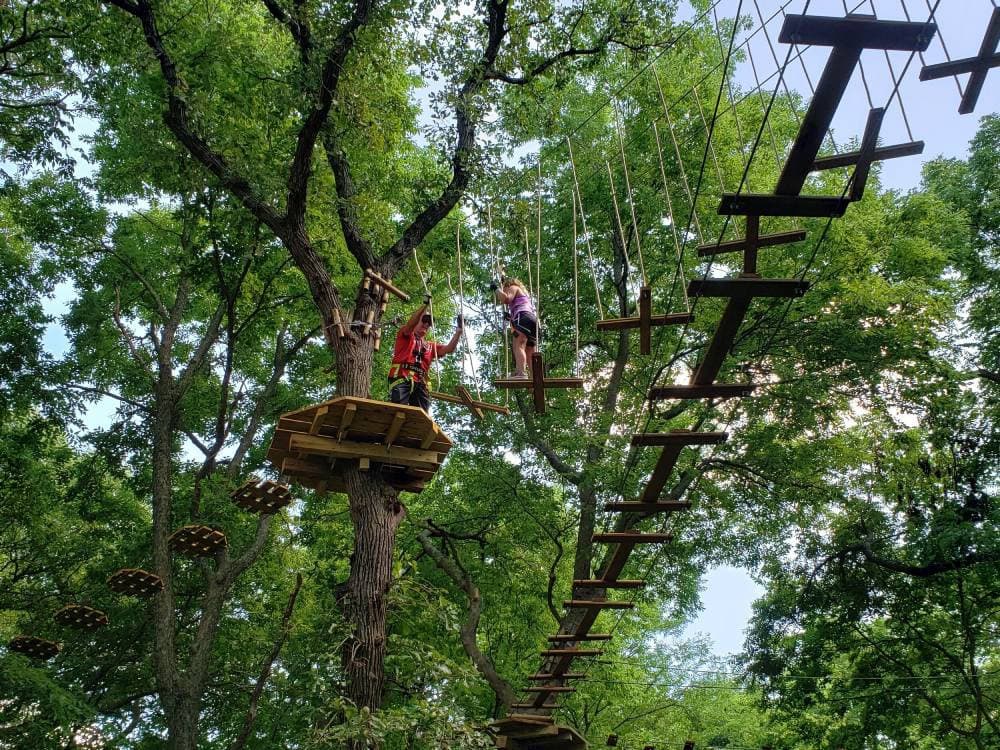 Treetop journey