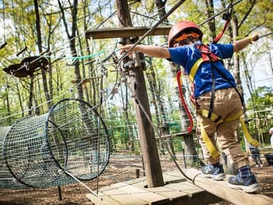 Tulsa Treetop Adventure Park — photo 1