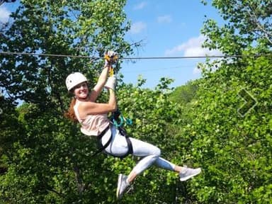 Whitesburg Level 1 — photo 1