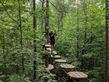Williamsburg Treetop Journey — photo 1