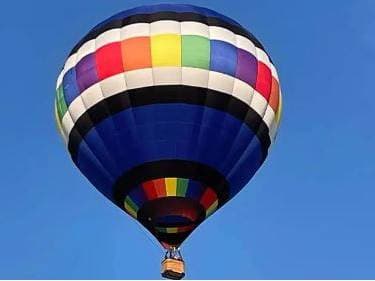 WindDancer Balloon Promotions — photo 1