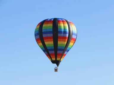 Wine Country Balloons — photo 1