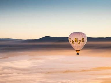 Yarra Valley Balloon Flight and Winery Tour — photo 1
