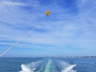 YOLO Parasailing Adventures in Bradenton Beach — photo 3
