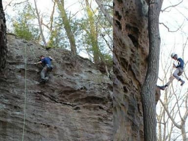 Zip & Climb — photo 1