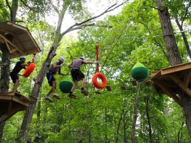 Zip Line Canopy Tour — photo 2