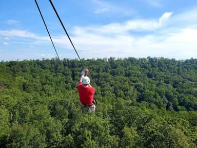 Zip Line Canopy Tours — photo 1