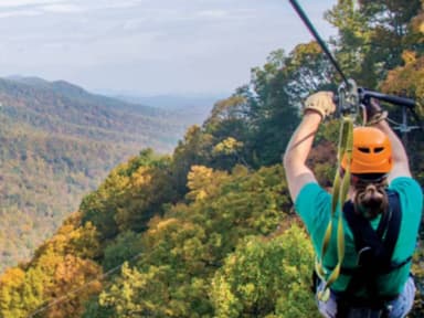 Zipline Canopy Tour — photo 1