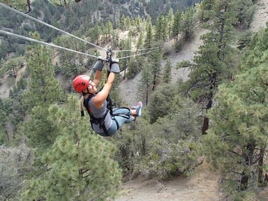 Zipline Canopy Tour — photo 1
