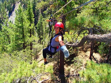 Zipline Mountain View Tour — photo 1