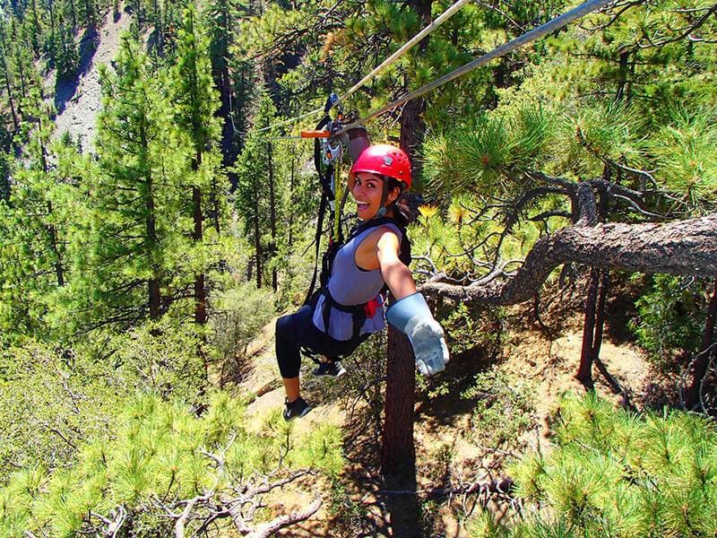 Zipline Mountain View Tour