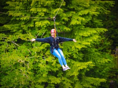 Ziplining in Warrenton — photo 1