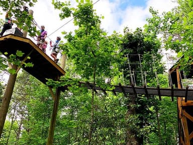 Zippy's Tree Top Adventure Course — photo 1