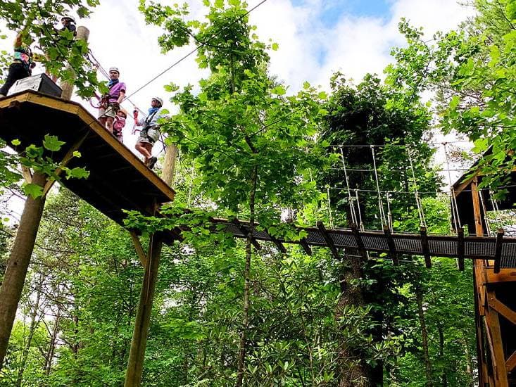 Zippy's Tree Top Adventure Course